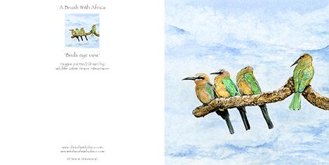Birds Eye View card