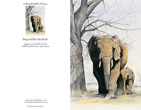 Beyond the Baobab card