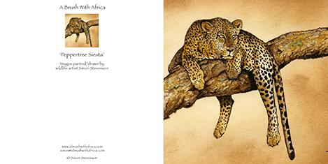 Peppertree Siesta card