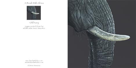 Wild Ivory card