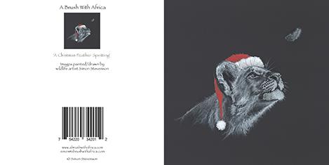 A  Christmas Feather Spotting