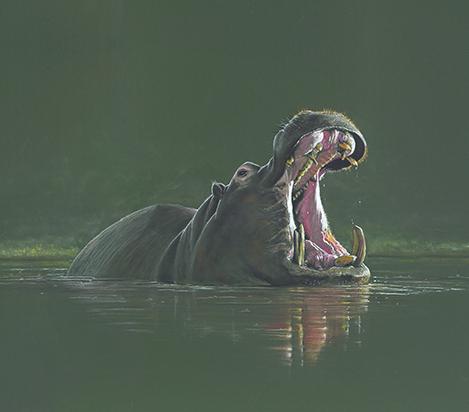 King of the pond