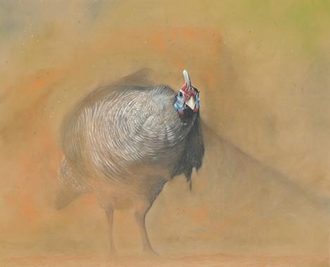 Feather Duster