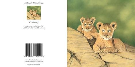 Curiosity card