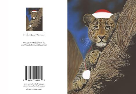 A Christmas Witness