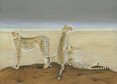 Spotted Mirage