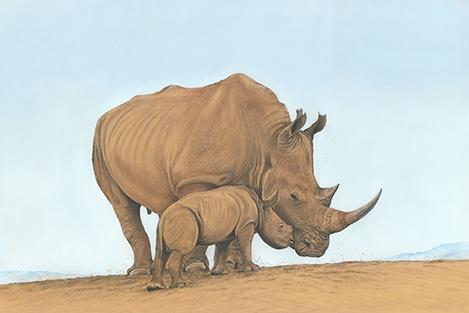Kifaru kidogo