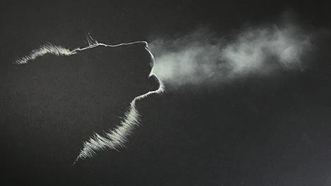 The Dawn Call